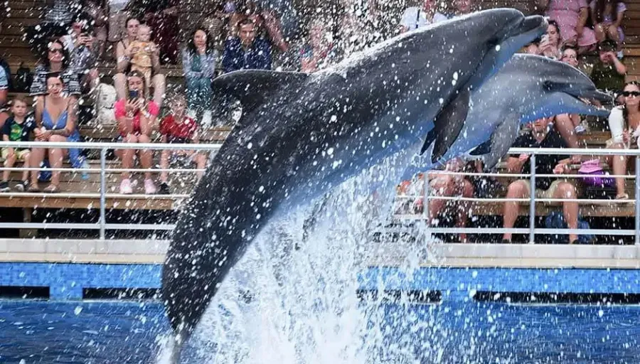 Antalya City Tour with Dolphin Show photo 4